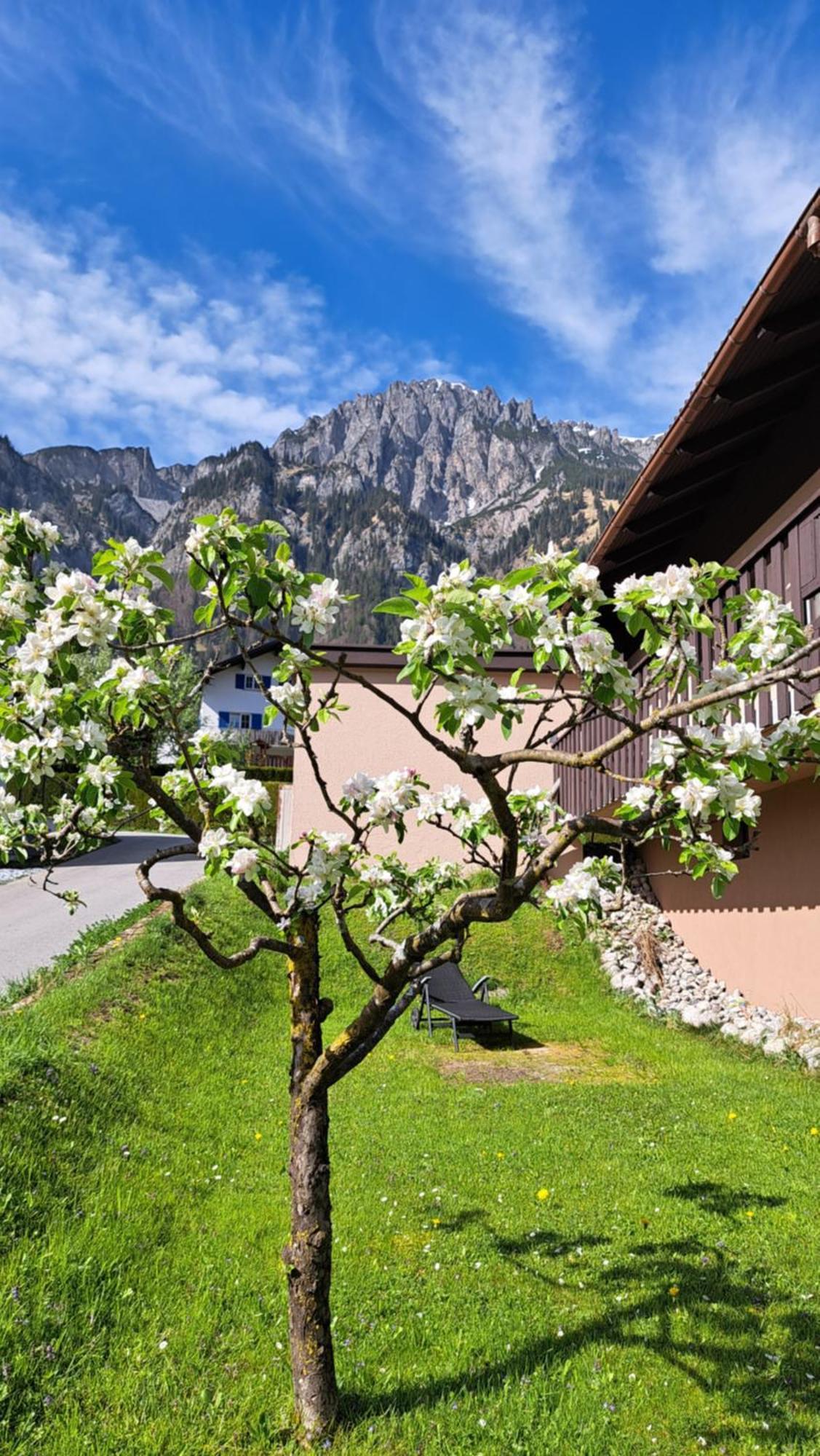 Baers Mountain Stay Ausserbraz Innerbraz Bagian luar foto