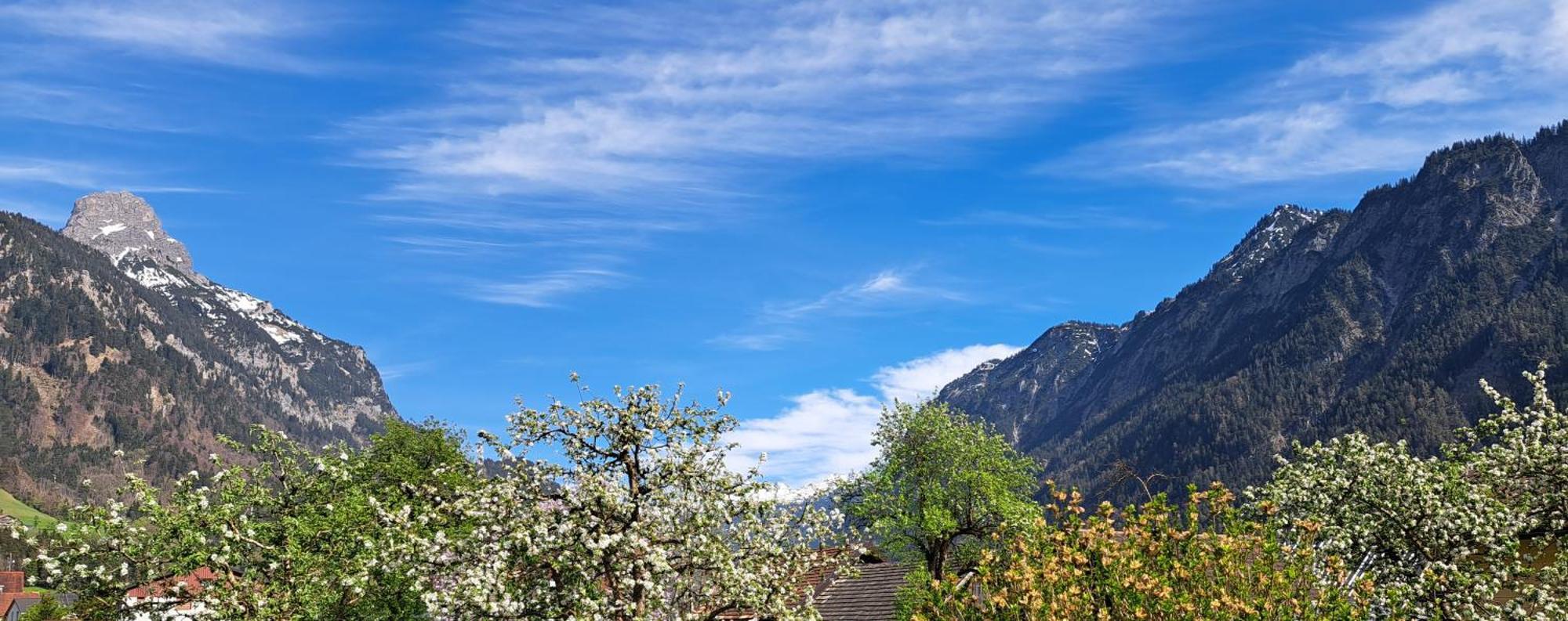 Baers Mountain Stay Ausserbraz Innerbraz Bagian luar foto