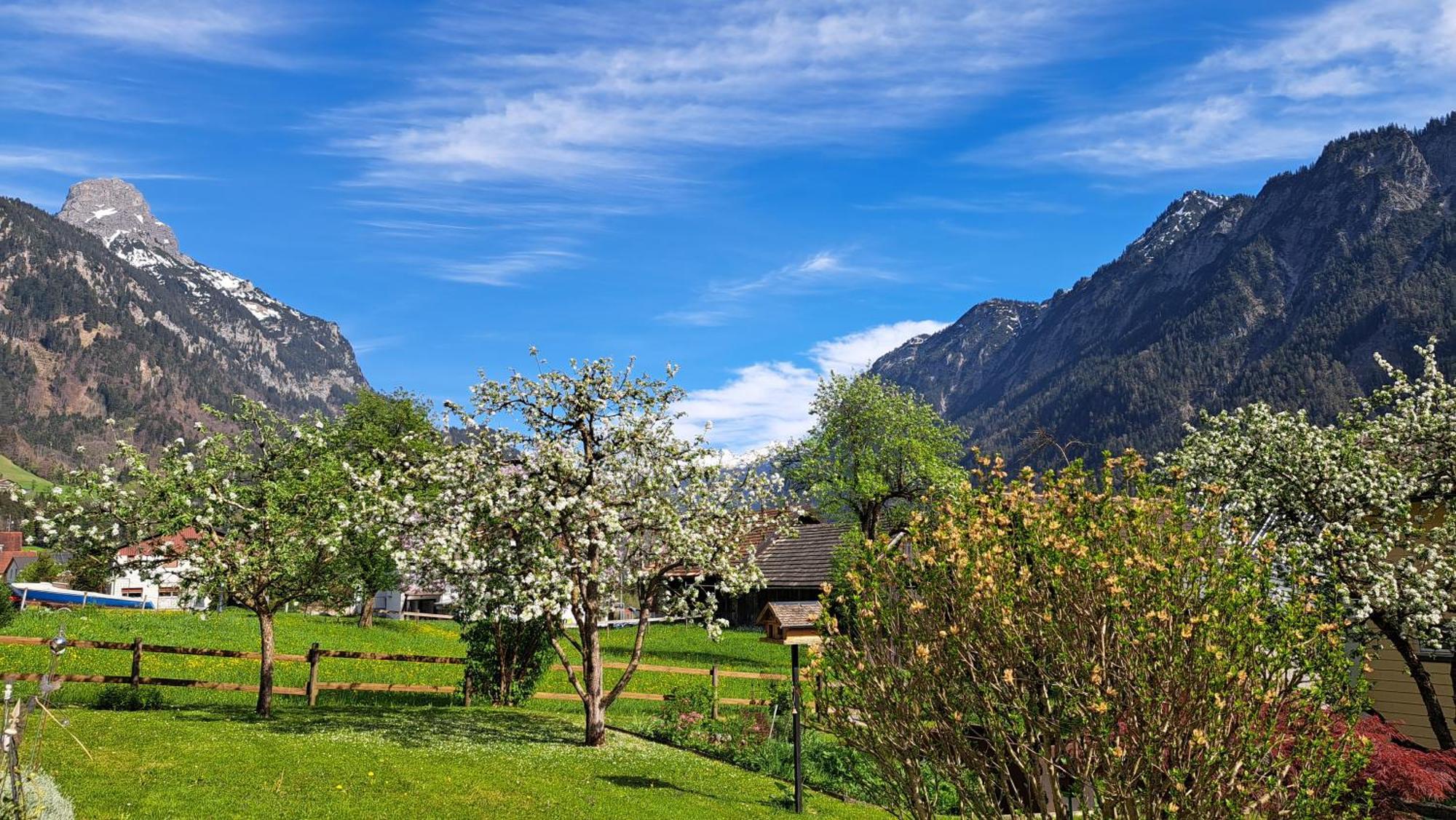 Baers Mountain Stay Ausserbraz Innerbraz Bagian luar foto