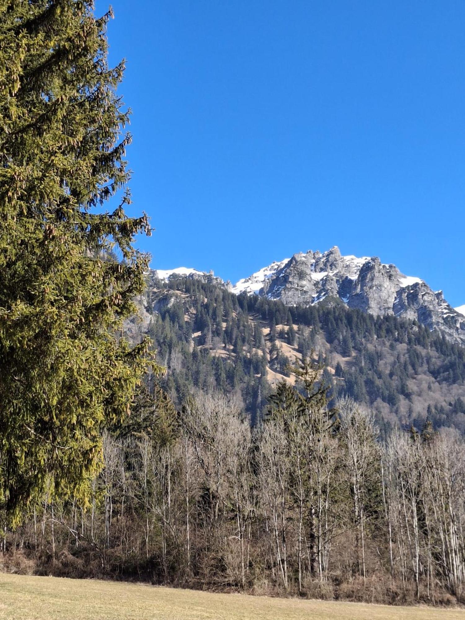 Baers Mountain Stay Ausserbraz Innerbraz Bagian luar foto