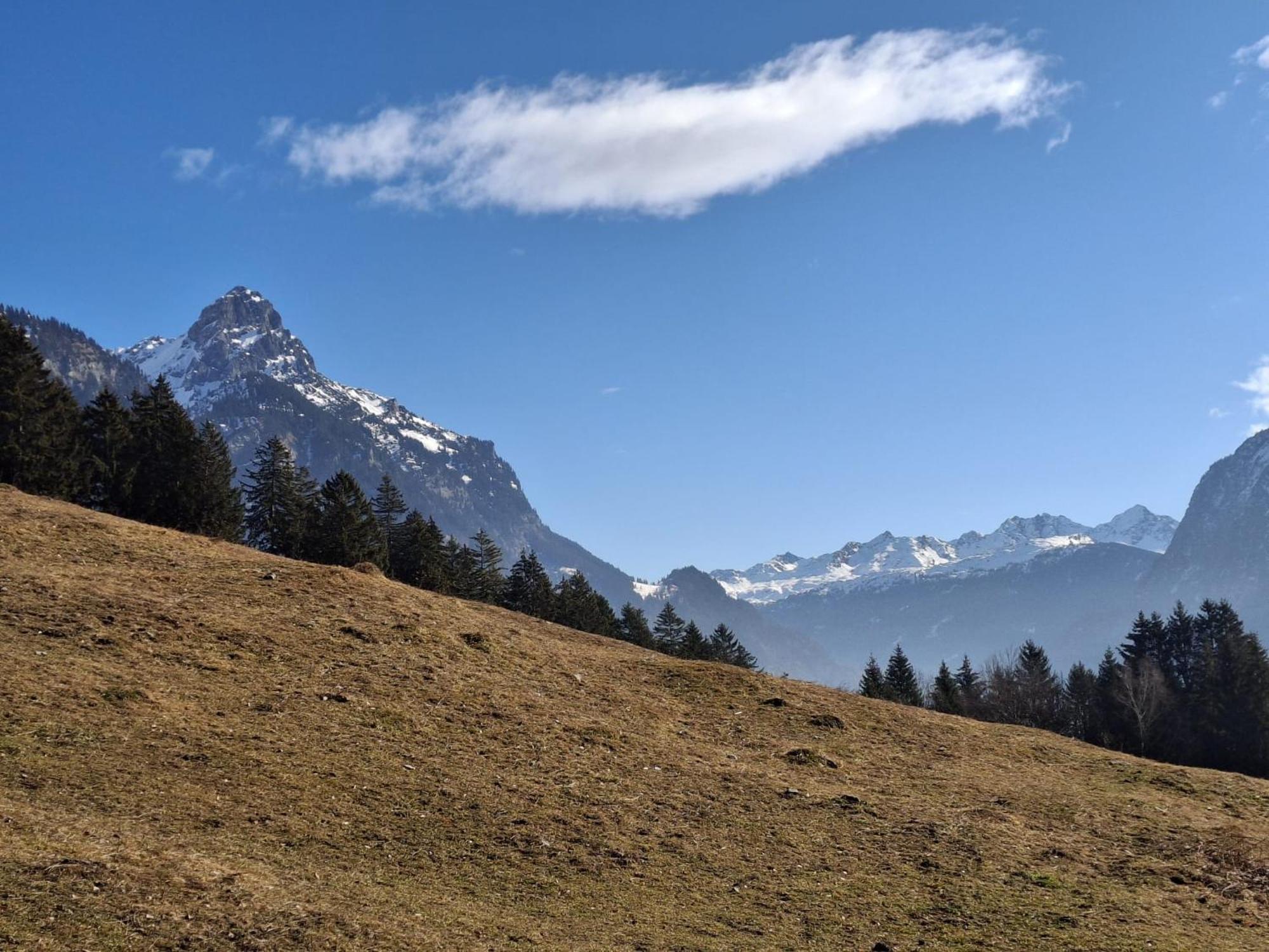 Baers Mountain Stay Ausserbraz Innerbraz Bagian luar foto